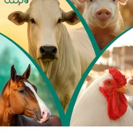 Seja no pasto, na granja, no haras ou na produção leiteira, os resultados falam por si.  CooperOeste é referência em qualidade e resultado para quem vive o campo todos os dias.