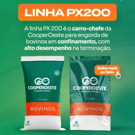 A linha PX 200 é o carro-chefe da CooperOeste quando o assunto é desempenho na engorda de bovinos.  Seja no formato concentrado, para ajuste da dieta conforme a realidade do confinamento, ou como ração pronta para uso, a PX 200 entrega eficiência, segurança alimentar e resultados consistentes na fase de terminação.  Tudo isso com vitaminas, minerais, antioxidantes e aditivos que fazem a diferença no ganho de peso e no rendimento final.  👉 Quer saber qual opção da linha PX 200 é a mais indicada para o seu sistema de produção? Fale com a nossa equipe e receba orientação técnica especializada.  #CooperOeste #NutriçãoAnimal #PX200 #Bovinos #Confinamento #EngordaDeBovinos #ProdutorRural #SomosCoop