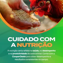 No campo, cada escolha impacta o desempenho do rebanho. A nutrição correta influencia diretamente na saúde, no crescimento e na produtividade dos animais.  Por isso, a CooperOeste trabalha com soluções pensadas para a realidade do produtor, unindo qualidade, orientação técnica e confiança em cada etapa do manejo.  Se você busca mais eficiência e segurança na sua produção, conte com quem entende do campo.