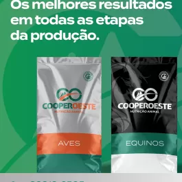 Resultados consistentes não acontecem por acaso. Eles são construídos com pesquisa, tecnologia, matéria-prima de qualidade e presença no campo.  A CooperOeste atua lado a lado com o produtor, oferecendo nutrição animal que entrega desempenho real em todas as fases da produção.  Aqui, qualidade não é promessa. É prática diária no campo.