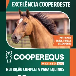 🌿 Nutrição para cavalos que precisam de energia e disposição!  A CooperEquus Mix 130 combina milho pré-gelatinizado, prebióticos, probióticos, biotina, lisina, óleo vegetal e cromo orgânico.  Com 13% de proteína bruta, sua formulação favorece a digestibilidade e a palatabilidade, oferecendo suporte nutricional aos animais de alta performance.  Indicada para equinos adultos em trabalho moderado ou intenso e animais em preparo para leilões ou exposições agropecuárias.  Entre em contato com a CooperOeste e conheça a Mix 130!  #CooperOeste #CooperEquus #Mix130 #Equinos #NutriçãoEquina #AlimentaçãoEquina