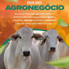 No Dia do Agronegócio, celebramos quem move o Brasil com trabalho, dedicação e compromisso com o campo. 🌾🐄  A CooperOeste segue ao lado do produtor rural, apoiando cada etapa da produção, valorizando o agro e contribuindo para um setor que sustenta o país e alimenta o futuro.  Nosso compromisso é com quem produz, cresce e acredita no potencial do campo todos os dias. 💚🚜