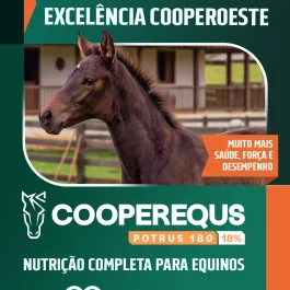 🐎 O crescimento dos potros exige uma alimentação preparada para suas necessidades!  A CooperEquus Potrus 180 foi desenvolvida especialmente para potros a partir do 7º dia de vida até os 24 meses de idade.  Com 18% de proteína bruta, ingredientes de alta digestibilidade, prebióticos e probióticos, sua formulação contribui para o desenvolvimento ósseo e muscular, além de favorecer a saúde intestinal.  Uma nutrição pensada para acompanhar essa importante fase de crescimento!  Conheça a Potrus 180 e conte com a CooperOeste para a alimentação do seu plantel.  #CooperOeste #CooperEquus #Potrus180 #Potros #NutriçãoEquina #CriaçãoDeCavalos