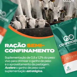 Quer engordar o gado a pasto com mais resultado?�A ração de semi-confinamento é uma excelente estratégia para essa época. 🌾🐄  Indicada para consumo de 0,8 a 1,2% do peso vivo, ela complementa a pastagem e ajuda a acelerar o ganho de peso com mais eficiência e controle nutricional.  ✔ Mais desempenho na terminação ✔ Melhor aproveitamento da pastagem ✔ Estratégia prática para engorda a pasto  👉 Já utiliza semi-confinamento na sua propriedade?�Conta aqui ou fale com a equipe da CooperOeste para ajustar o manejo ideal.  #CooperOeste #NutriçãoAnimal #SemiConfinamento #BovinosDeCorte #EngordaAPasto #ProdutorRural #Agro #SomosCoop