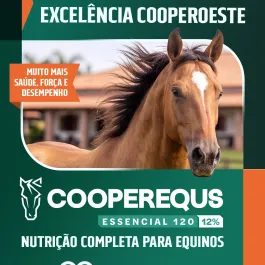 🐎 Nutrição equilibrada para acompanhar a rotina dos seus cavalos!  A CooperEquus Essencial 120 foi desenvolvida para equinos adultos em manutenção ou trabalho leve.  Com 12% de proteína bruta, biotina e cromo orgânico, sua formulação favorece o aproveitamento da energia, ajuda a reduzir o estresse e contribui para cascos mais fortes e uma pelagem lisa e brilhante.  Conheça a nova linha CooperEquus e consulte nossa equipe!  #CooperOeste #CooperEquus #Essencial120 #NutriçãoEquina #Cavalos #NutriçãoAnimal