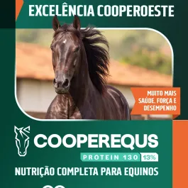 💪 Mais energia para acompanhar o ritmo dos seus equinos!  A CooperEquus Protein 130 chegou com 13% de proteína bruta e uma combinação de aminoácidos essenciais, óleo de soja, cromo orgânico e biotina.  Indicada para cavalos adultos em trabalho leve ou moderado, sua formulação contribui para mais energia no dia a dia, redução do estresse e saúde dos cascos e da pelagem.  Fale com a equipe CooperOeste e saiba mais sobre a Protein 130!  #CooperOeste #CooperEquus #Protein130 #NutriçãoEquina #SaúdeEquina #Equinos