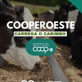Cooperoeste carrega o carimbo SomosCoop! Isso quer dizer que ela abraça o cooperativismo e age com propósito: com foco nas pessoas, na comunidade e no desenvolvimento coletivo.  ⚠️ Sempre que você ver o carimbo SomosCoop, saiba: É uma marca que escolheu fazer diferente. É uma marca que escolheu cooperar com a sociedade.   Valorize quem coopera. Escolha marcas com o carimbo SomosCoop.  #SomosCoop #Cooperativismo #MarcaComPropósito #Cooperoeste