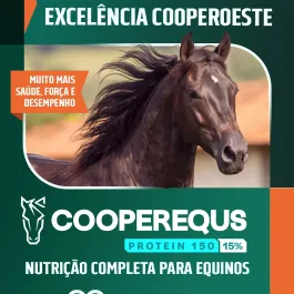 🐴 Uma alimentação de qualidade faz diferença na rotina e no desempenho dos equinos!  Com 15% de proteína bruta, a CooperEquus Protein 150 combina aminoácidos essenciais, óleo de soja, cromo orgânico e biotina.  Sua formulação proporciona mais energia para o trabalho, além de contribuir para a redução do estresse e para a saúde dos cascos e da pelagem.  Indicada para animais adultos em reprodução ou trabalho leve a moderado, que estejam recebendo volumosos de baixa qualidade, e para equinos a partir de 12 meses de idade.  Conheça a Protein 150 com a equipe CooperOeste!  #CooperOeste #CooperEquus #Protein150 #NutriçãoAnimal #NutriçãoEquina #Cavalos